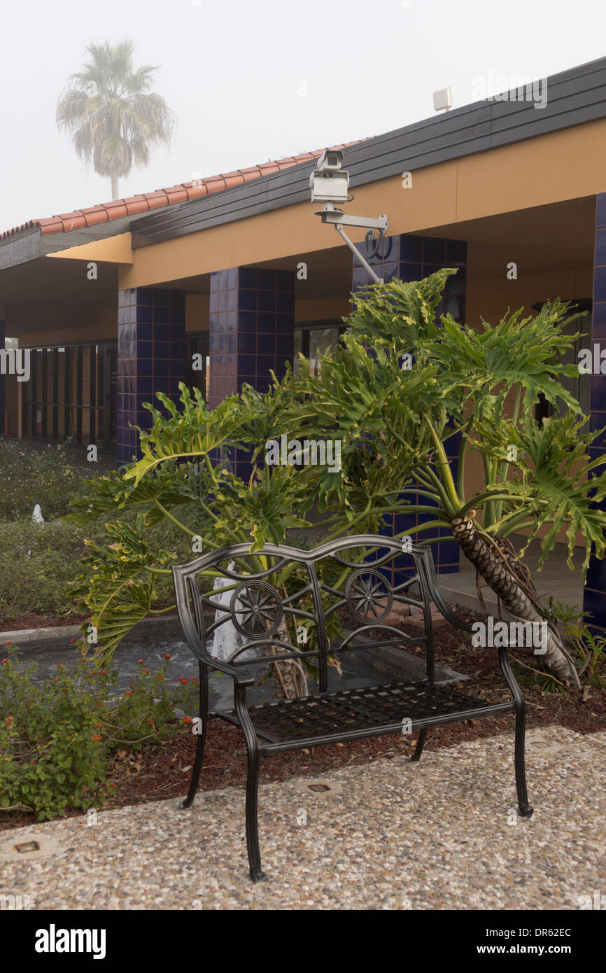 Surveillance Camera mounted on the Texas Information Center building at