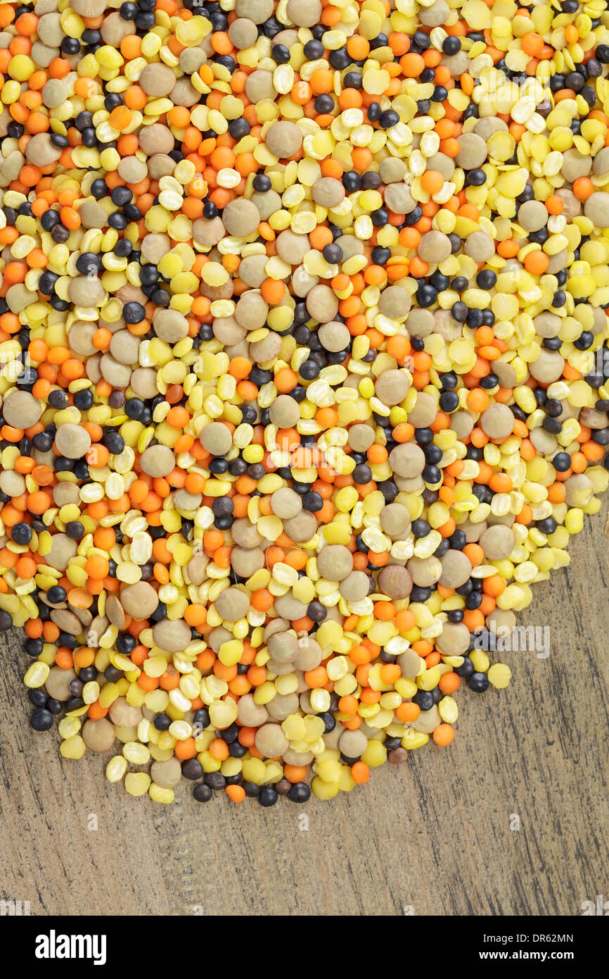 Varied types of Lentils Stock Photo