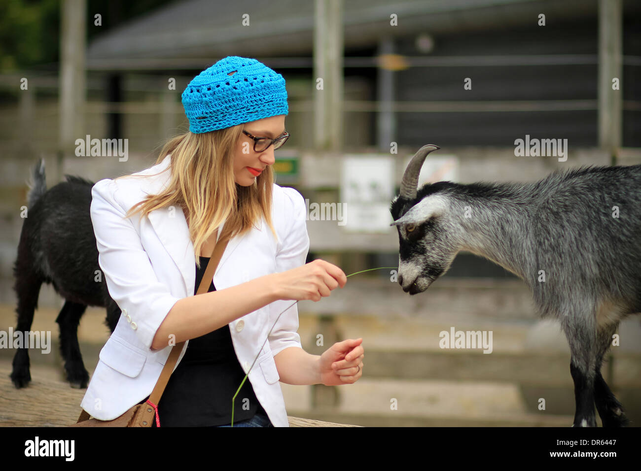 Young woman with knit hat playing with goat, Copenhagen, Denmark Stock Photo