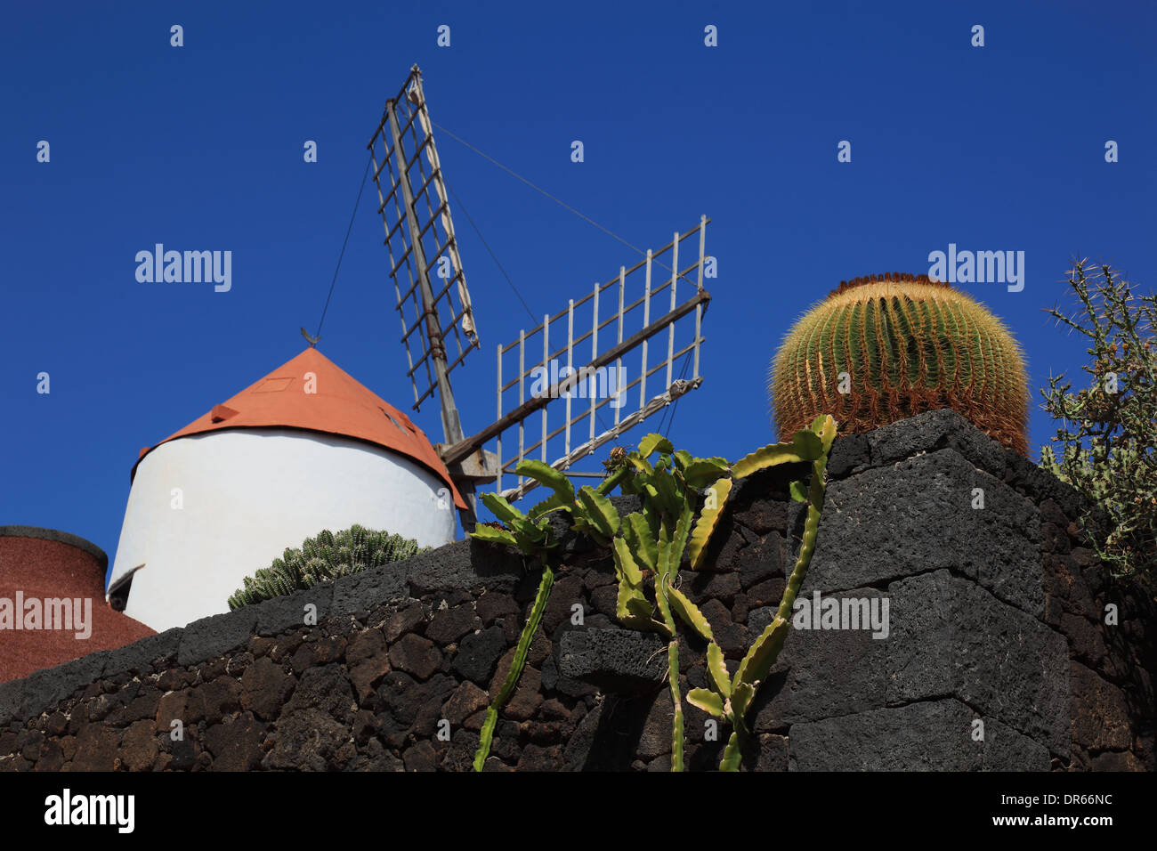 Echinocactus grusonii, Gofio mill, Cactus Garden Jardín de Cactus at Guatiza, Lanzarote, Canary islands, canaries, spain Stock Photo