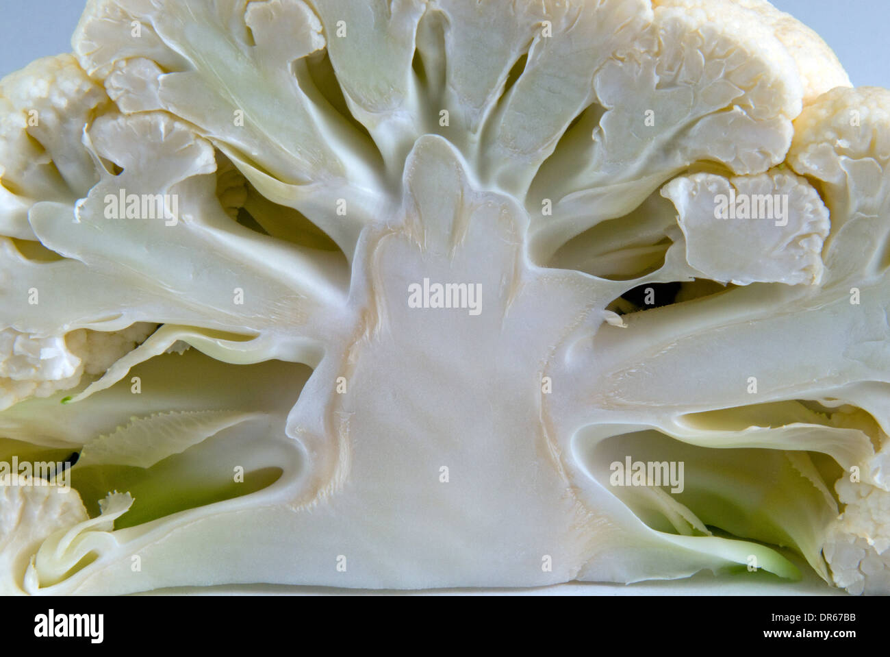 Raw Cauliflower Stock Photo