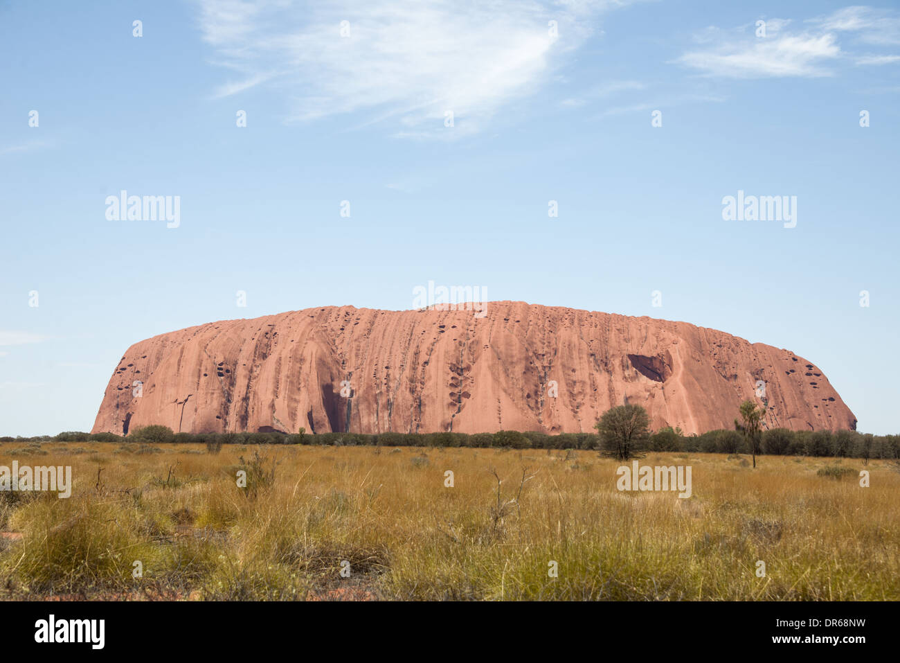 ayers Rock Northern Territory Australia Uluru rock formation and close ups Portrait blue sky grass foreground Stock Photo