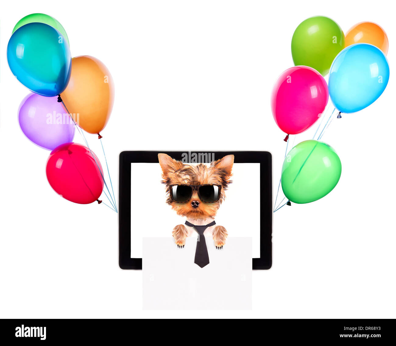 Business Dog Holding Empty Banner On A Digital Tablet Screen With