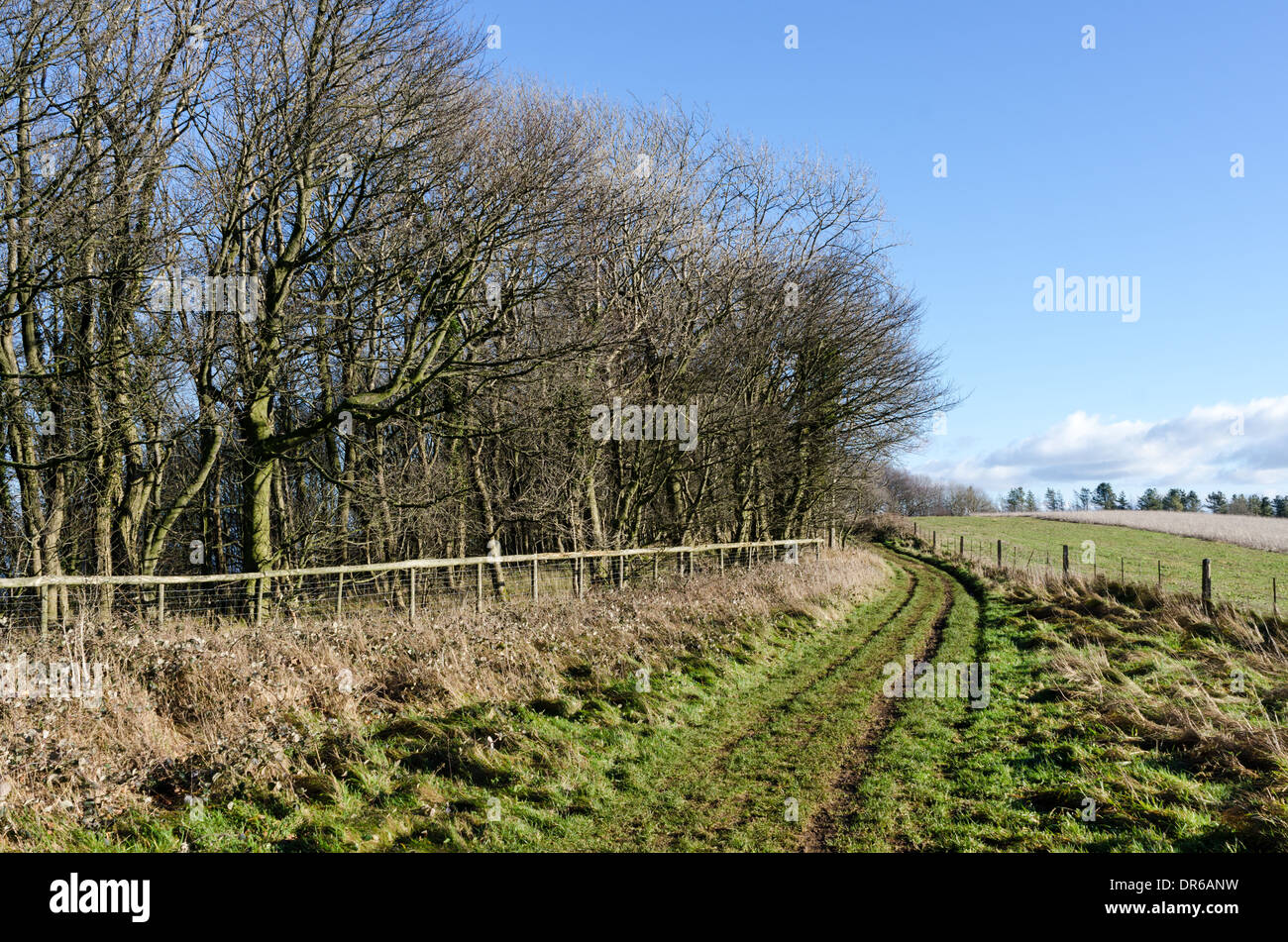 A track for walkers on the Wychavon Way at Bredon Hill in Worcestershire Stock Photo