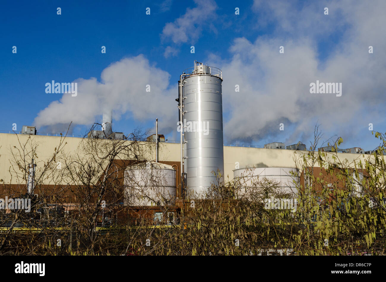 Smurfit Kappa recycling plant in Saltley, Birmingham Stock Photo - Alamy