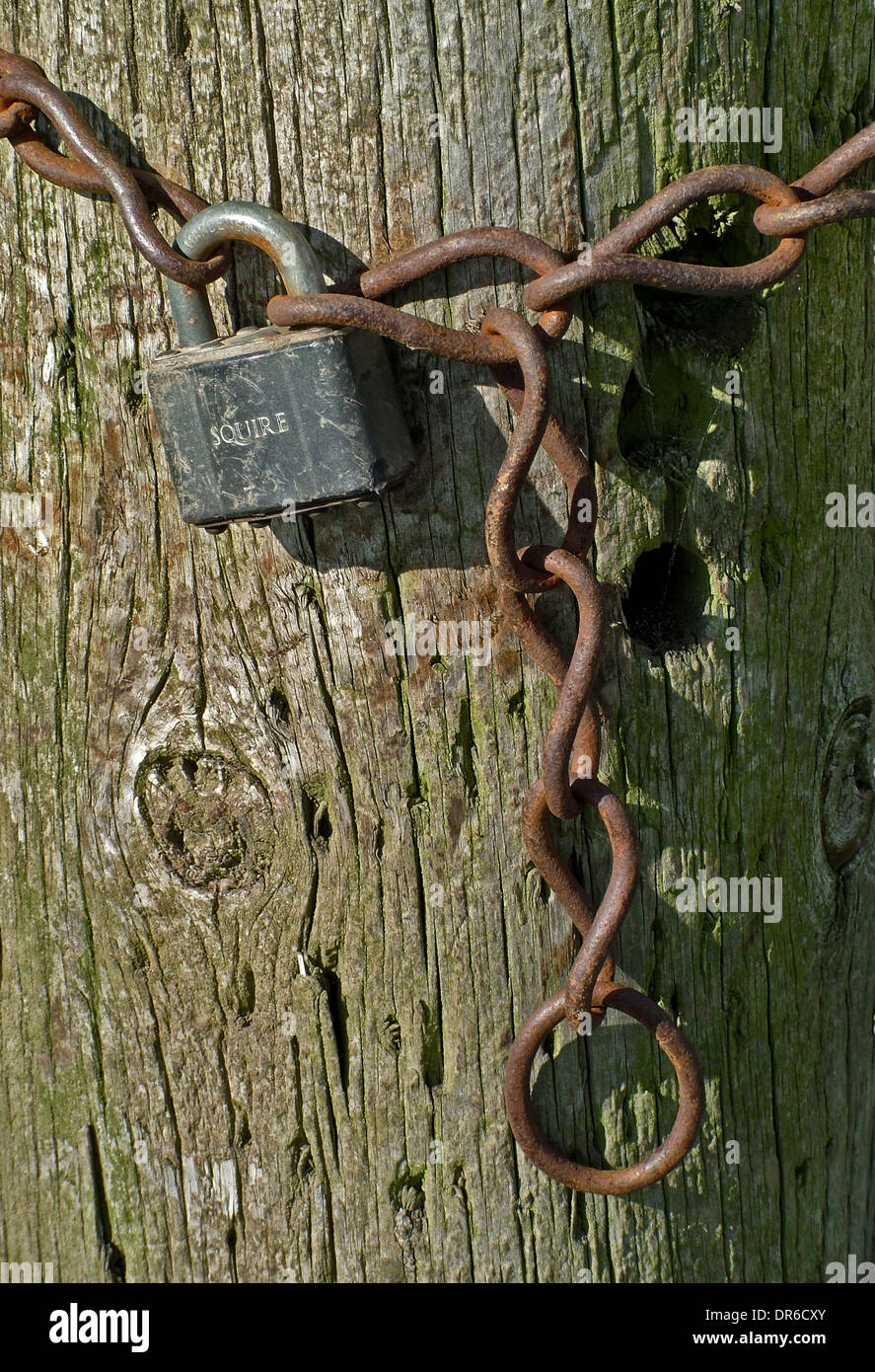 Padlock with rusty chain around gate post.nobody Stock Photo