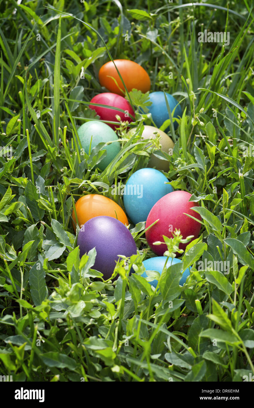 Colorful easter eggs in fresh green grass Stock Photo - Alamy