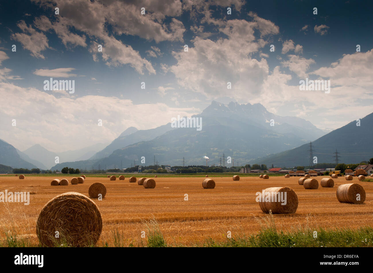 Hay balls in the Rhone valley near Aigle in Switzerland, taken from the  Rhone cycle path (national route 1 Stock Photo - Alamy
