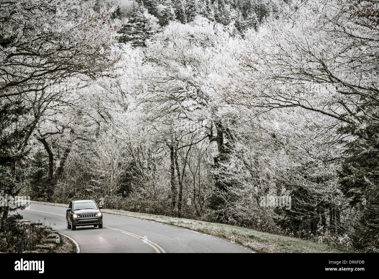 Smoky Mountains roadway in Tennessee, USA. Stock Photo