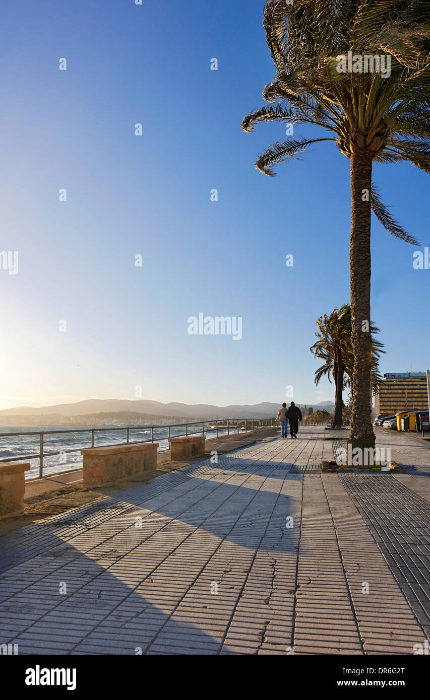 Avinguda de gabriel roca hi-res stock photography and images - Alamy