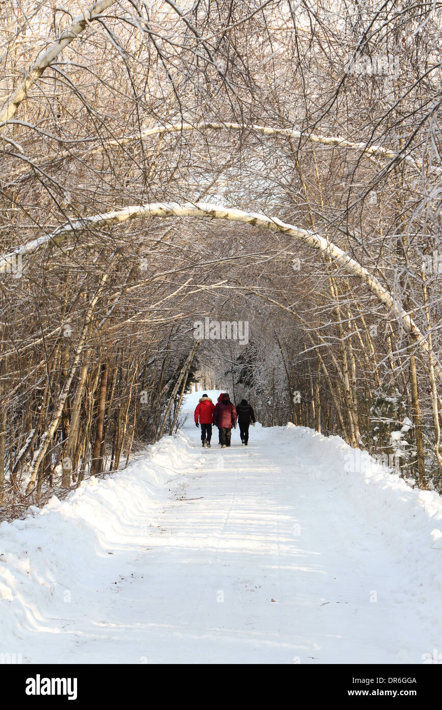 Locals walking down a wooded road during the Ice storm in Valcourt, Quebec Stock Photo