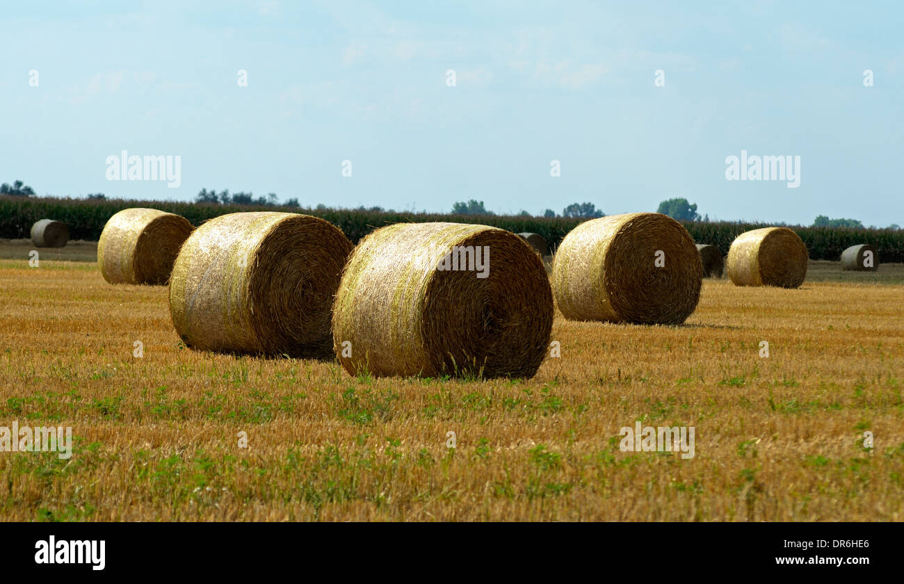 bales straw bale field harvest stubble farmland Stock Photo - Alamy