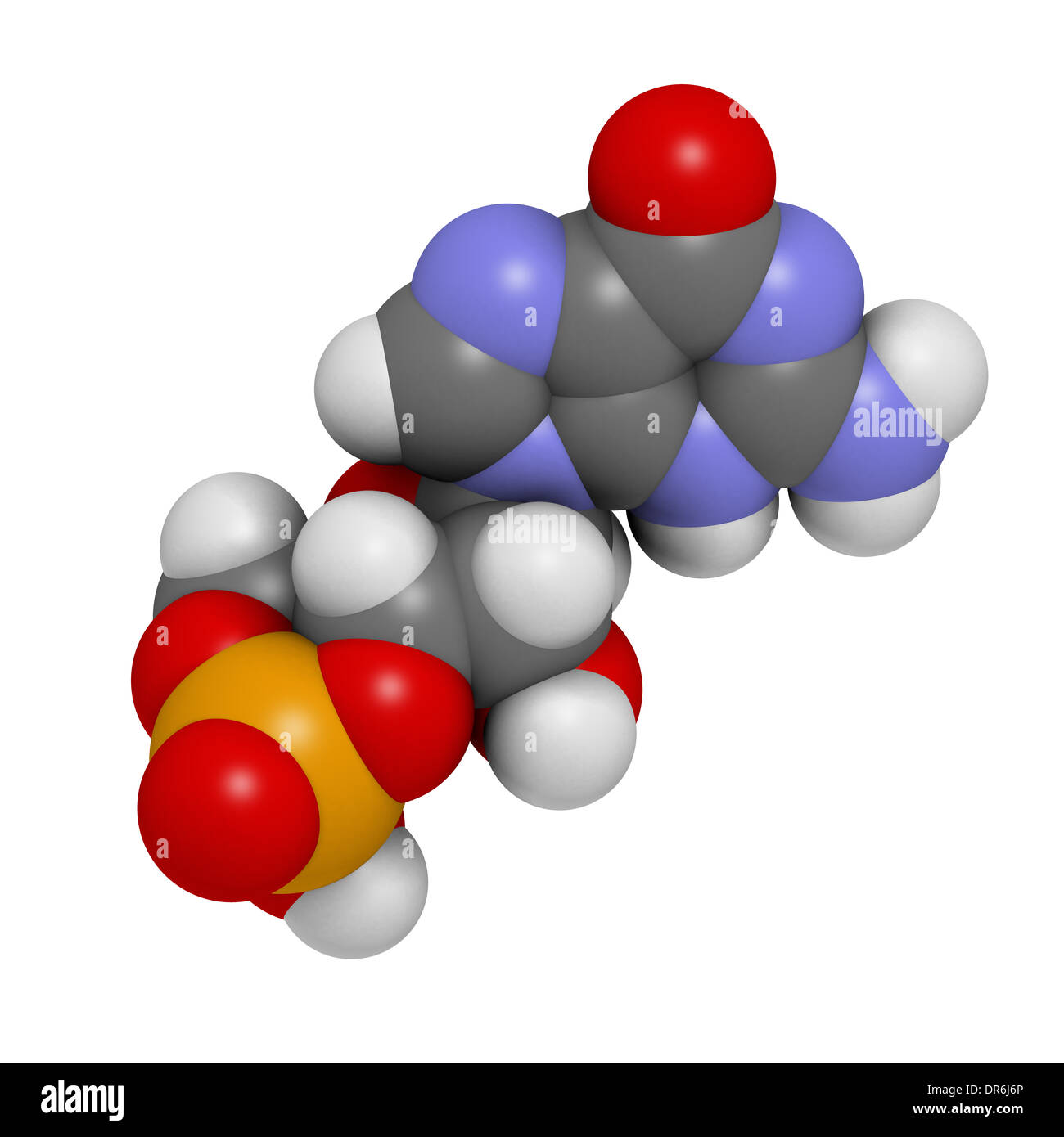 Cyclic guanosine monophosphate (cGMP) molecule. Important second ...