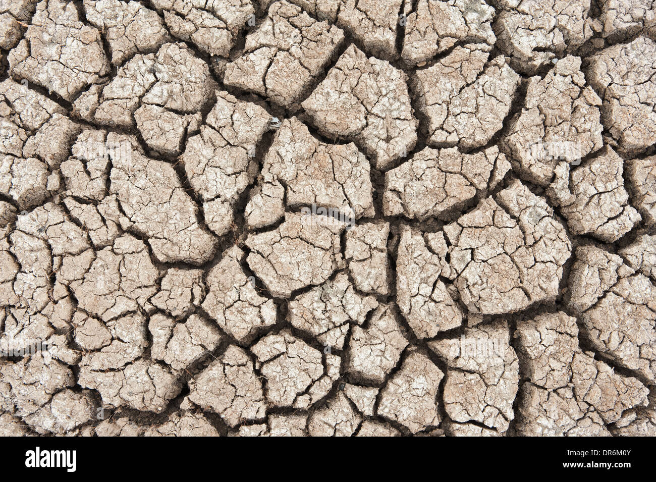 Dry soil texture of a barren land Stock Photo