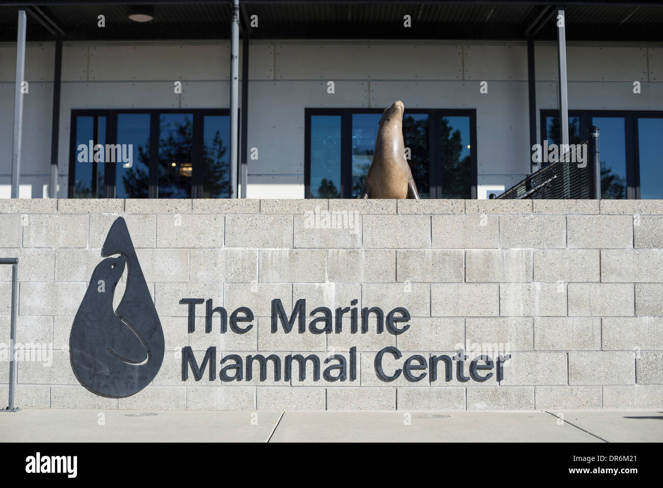 California Marine Mammal Center, Marin Headlands, Sausalito, CA. Stock Photo