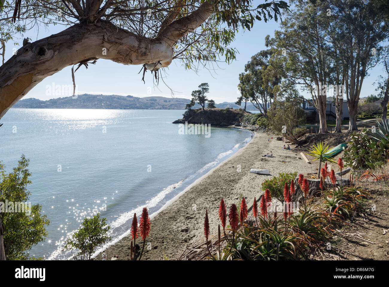 Beach in San Quentin Village, San Quentin state prison Stock Photo Alamy
