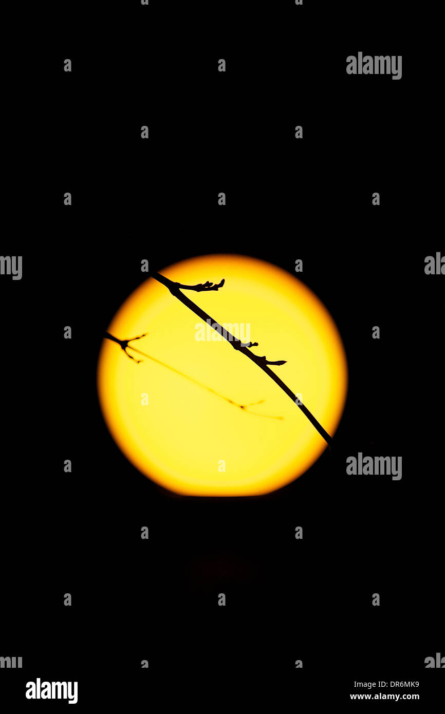 Full moon on sky Stock Photo - Alamy