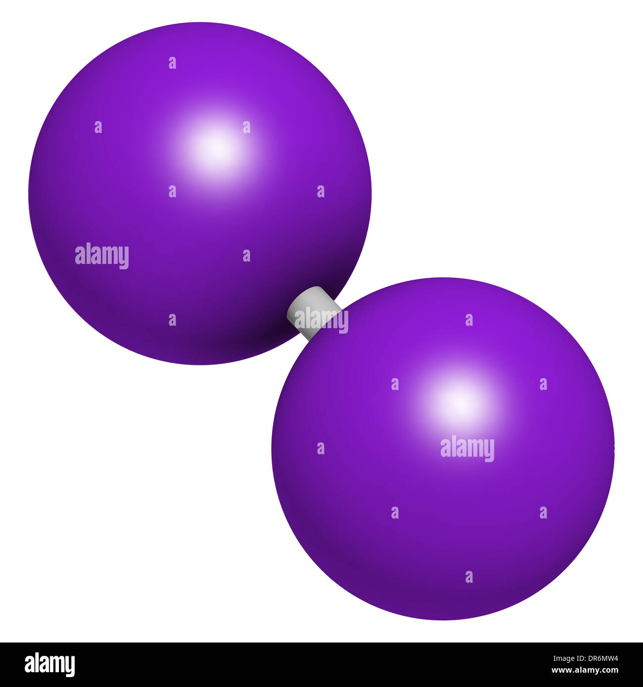 shop dynamics of fluids and transport in fractured