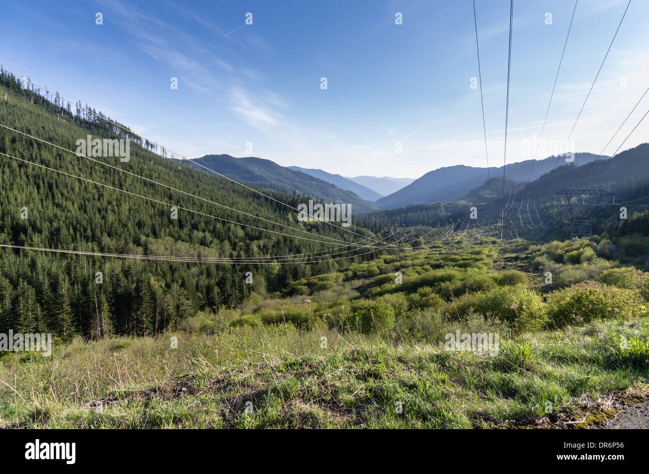 Electrical power transmission lines crossing through Mt Hood National