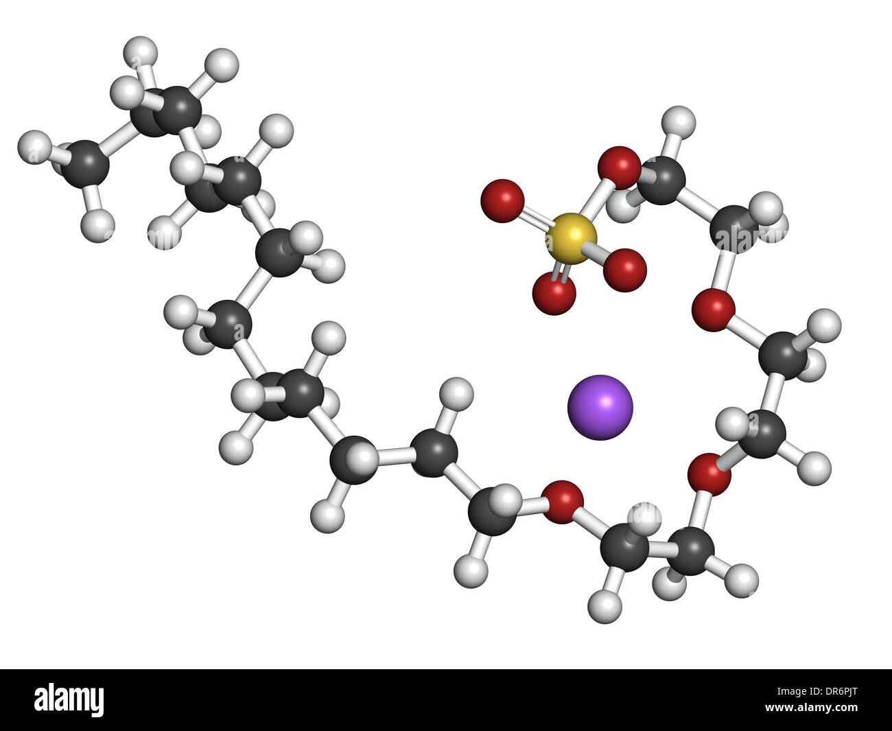 Sodium laureth sulphate detergent molecule. Used in cosmetics, soaps