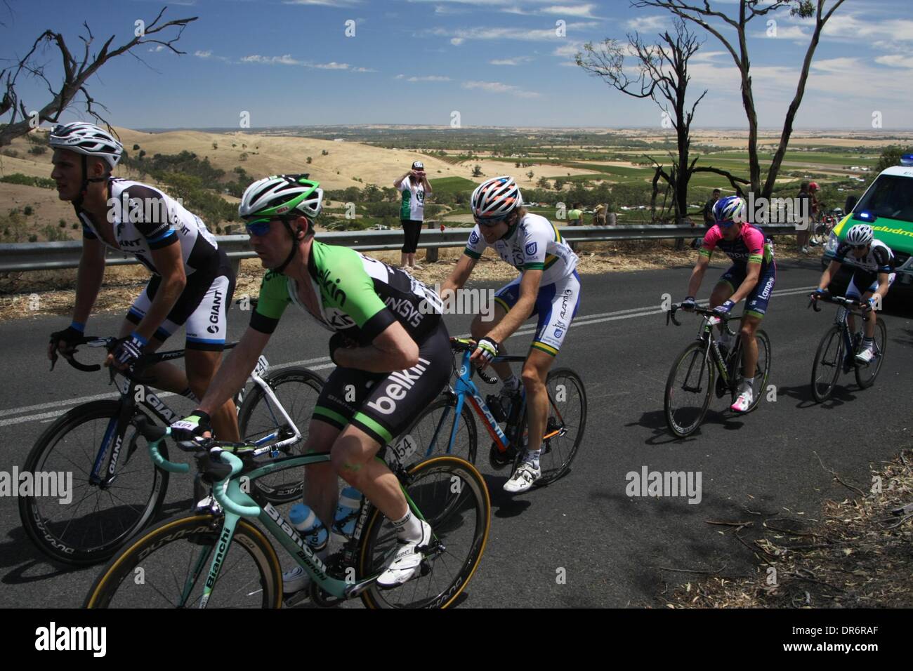 Barossa Valley, Australia. 21st Jan, 2014. David Tanner (Belkin) ascending Mengler Hill (near Angaston) in pain after breaking his collarbone in an earlier crash in Stage 1 of the Santos Tour Down Under 2014 from Nurioopta to Angaston, South Australia on 21 January 2014 Credit:  Peter Mundy/Alamy Live News Stock Photo