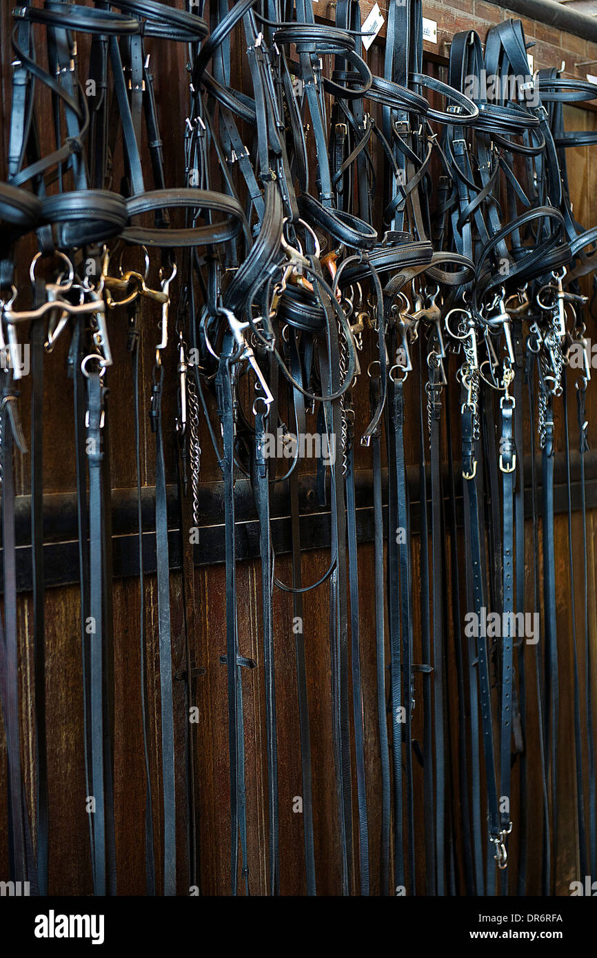 Reins and bits Stock Photo Alamy