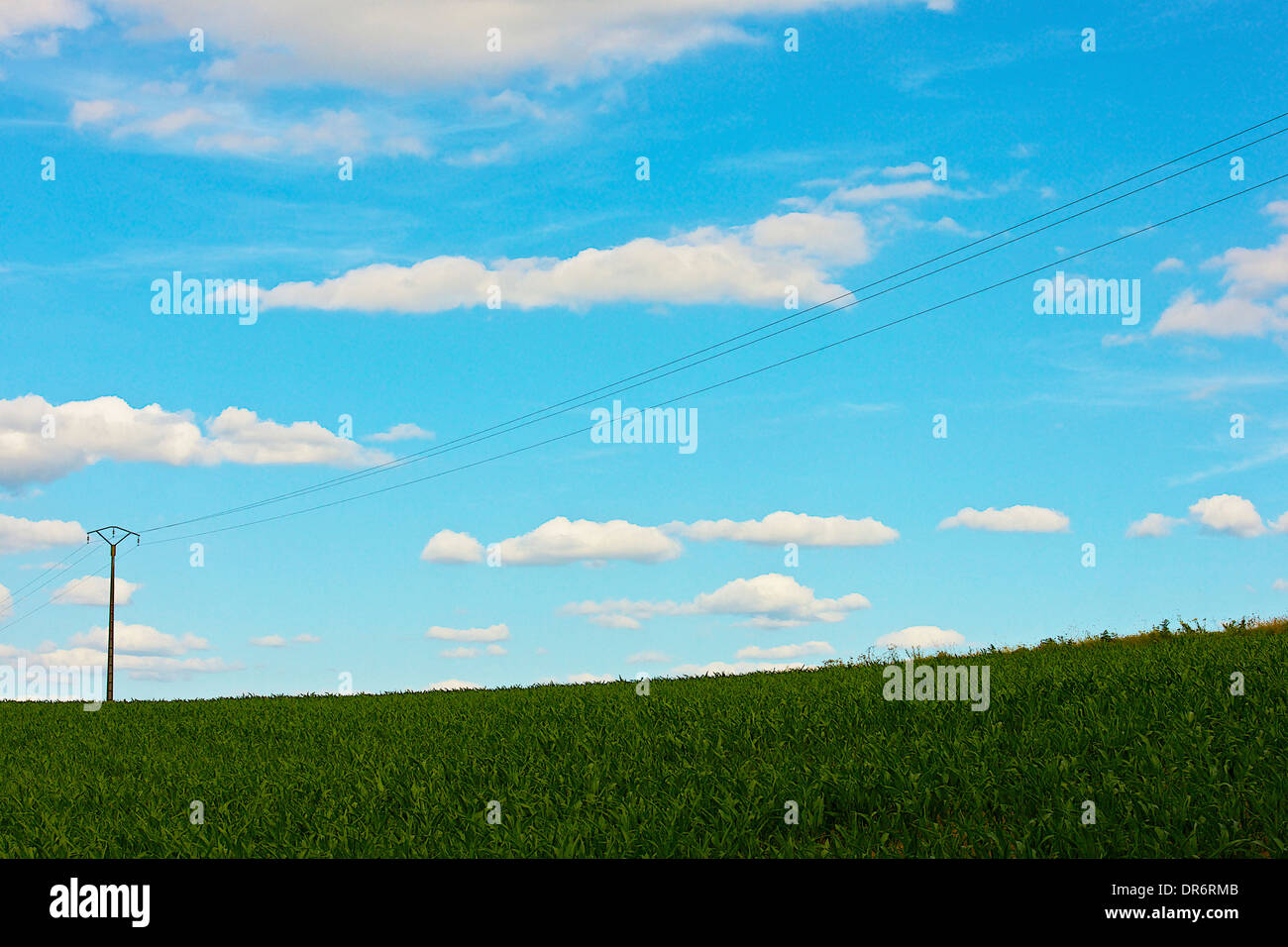 Blue sky and green field Stock Photo