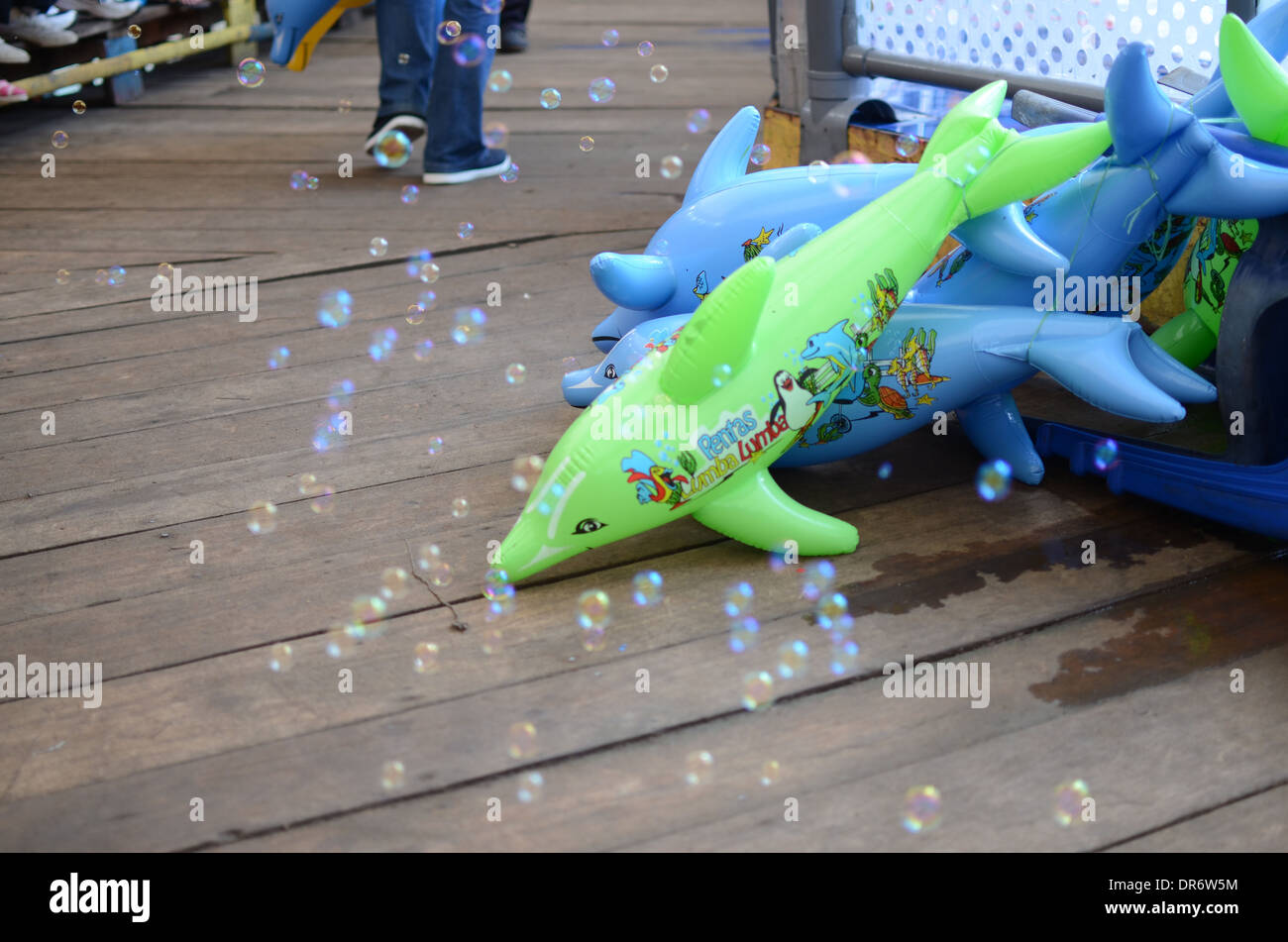 blow up dolphin toys