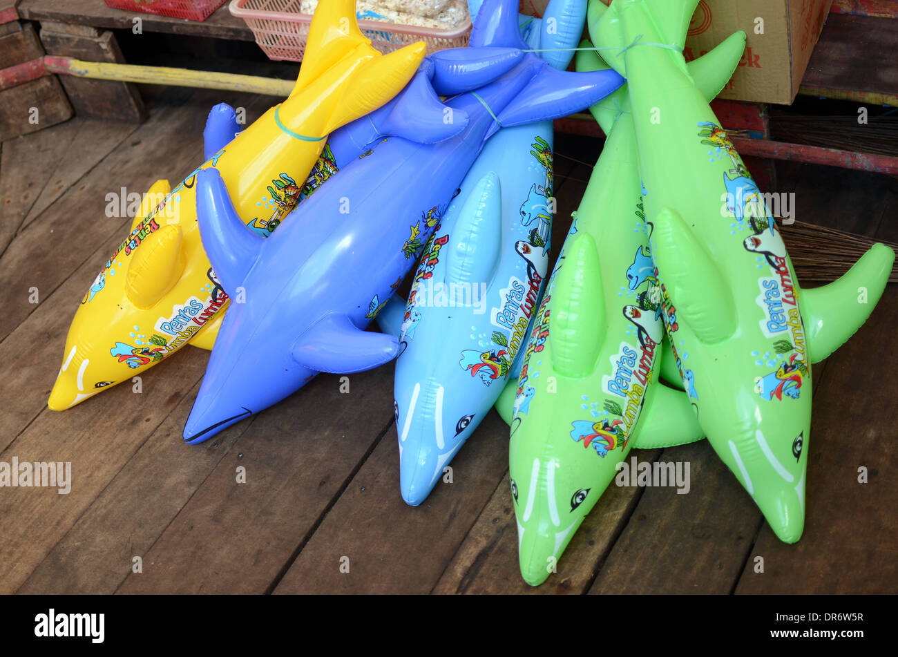 blow up dolphin toys