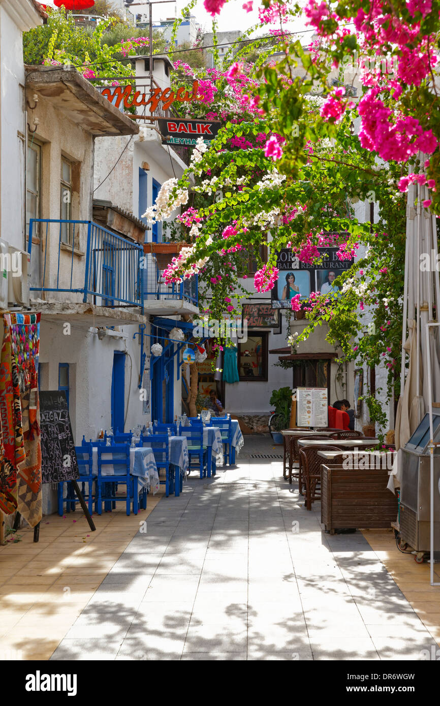 Turkey, Mugla Province, Marmaris, Alley in the old town with Bougainvillea Stock Photo