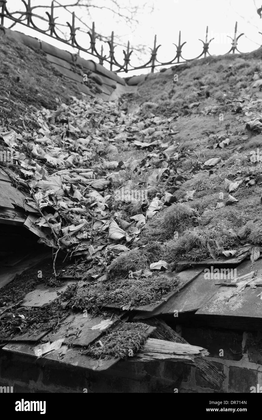 Rooftop slate Black and White Stock Photos & Images - Alamy