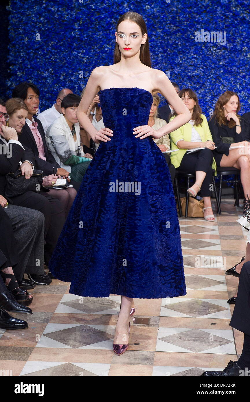 christian dior 2013