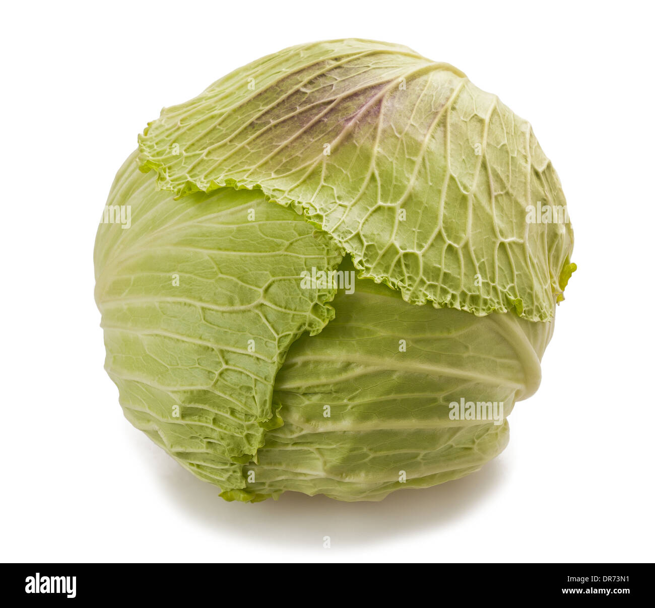 Whole head of savoy cabbage over white background Stock Photo - Alamy