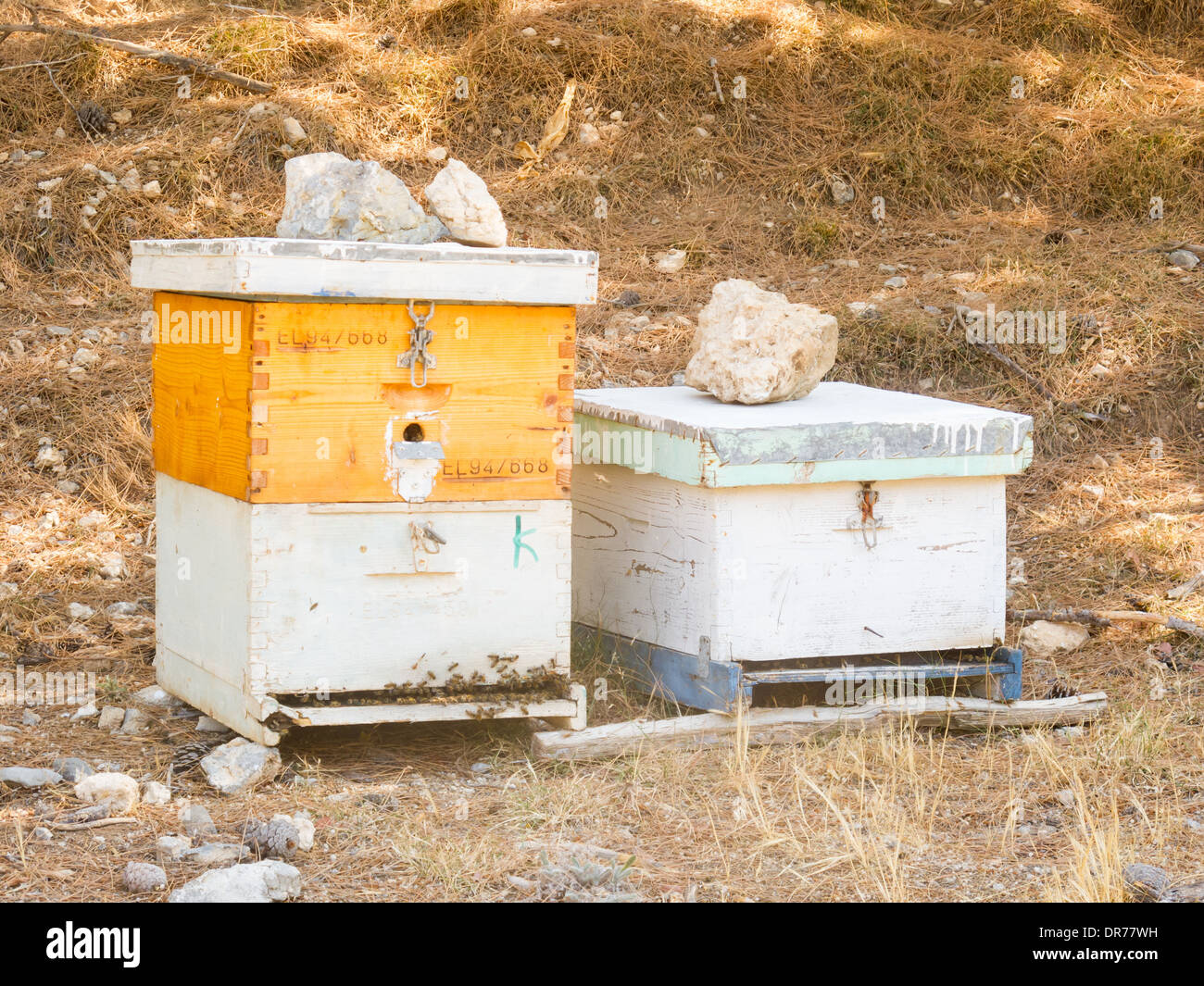 Wooden man made honey boxes in the mountains of Crete Island, Greece. Biological honey production. Stock Photo