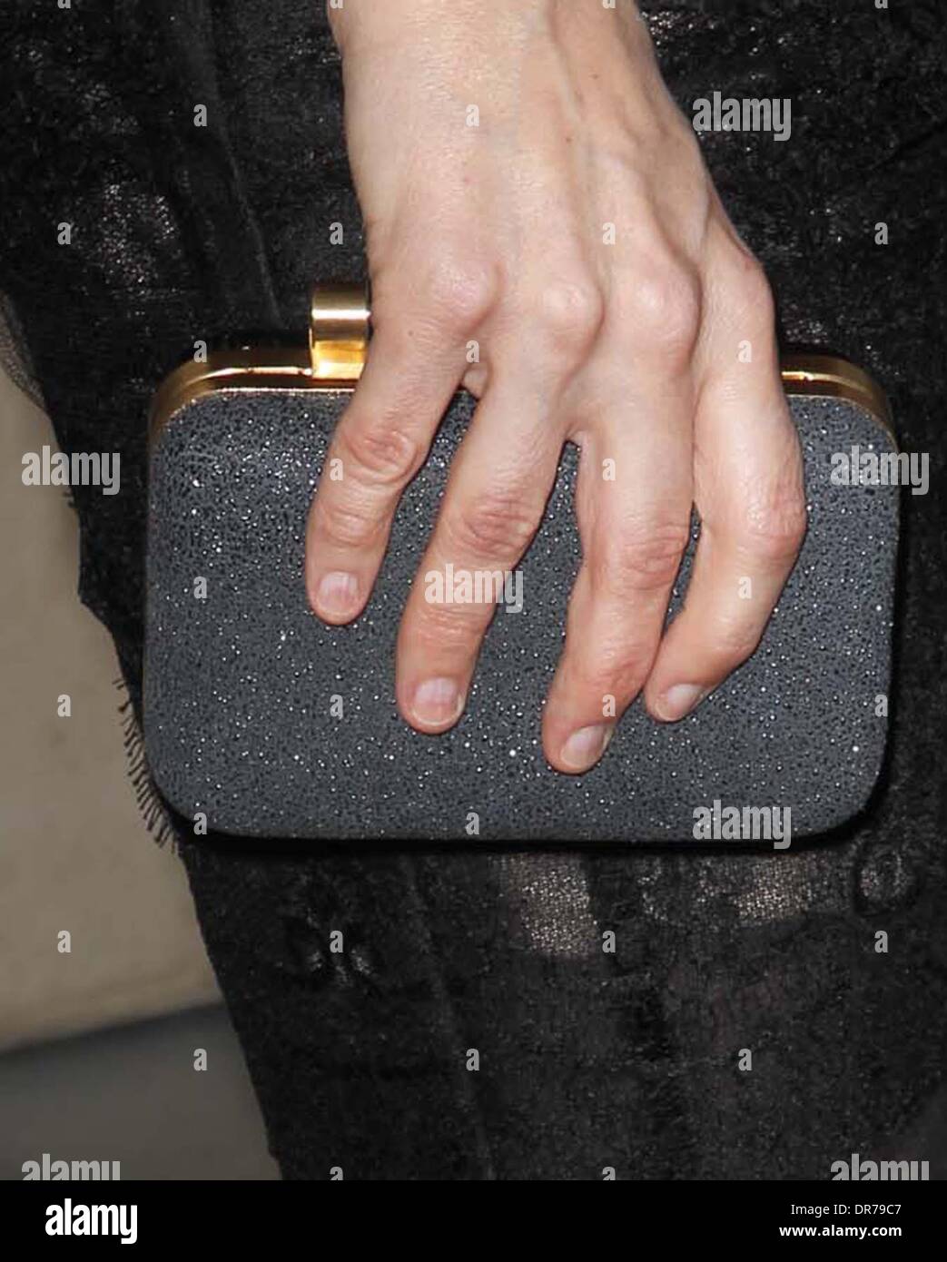 Rosemarie DeWitt "Your Sister's Sister" Los Angeles Premiere Held at