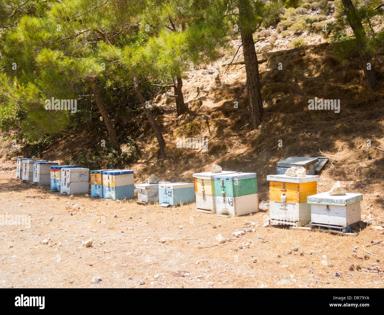Wooden man made honey boxes in the mountains of Crete Island, Greece. Biological honey production. Stock Photo