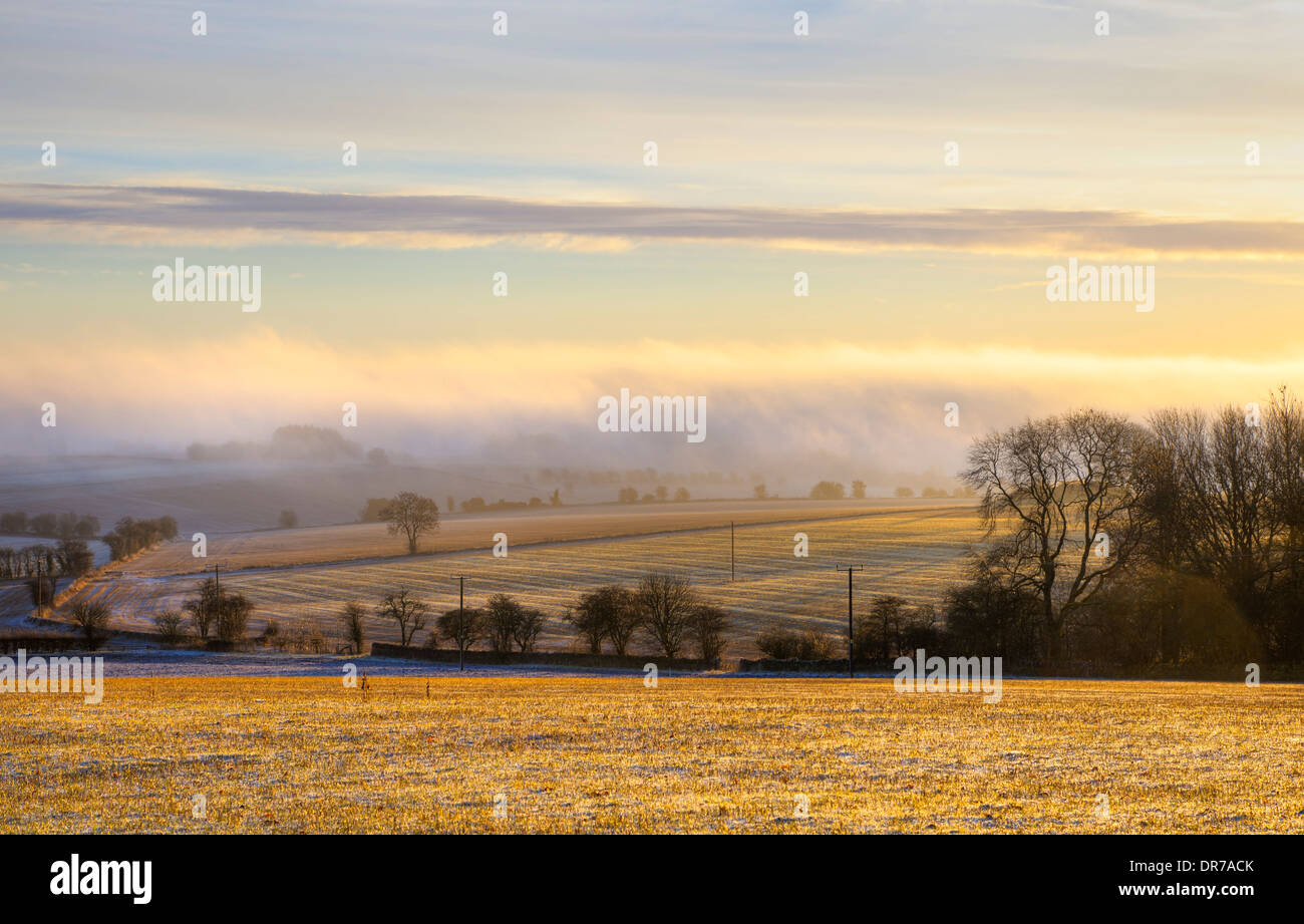 Cold winters morning with the sun shining through the mist over arable farmland, Gloucestershire, England. Stock Photo