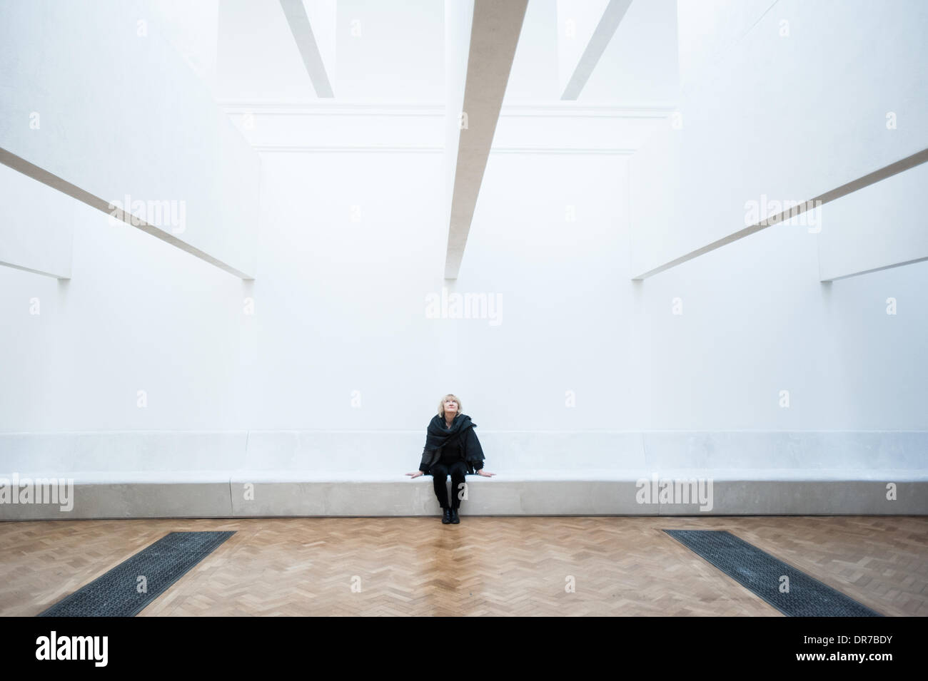 London, UK - 21 January 2014: architect Yvonne Farrell poses next to their installation at the Sensing Spaces: Architecture Reimagined exhibition at the Royal Academy of Art Credit: © Piero Cruciatti/Alamy Live News  Stock Photo