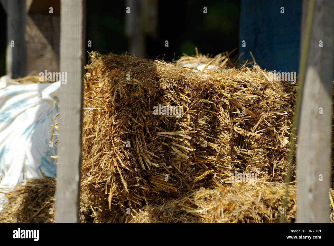 Cat Man Chris - Purrlease remember this, straw is the best insulator for  outdoors and you can even get mini bales of straw from places like Walmart  this time of year too