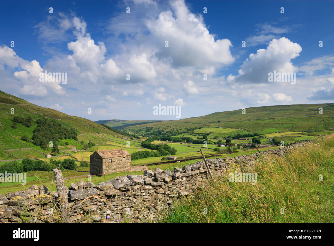 Stone barns near Thwaite in Upper Swaledale in the Yorkshire Dales National Park Muker Richmondshire North Yorkshire England Stock Photo