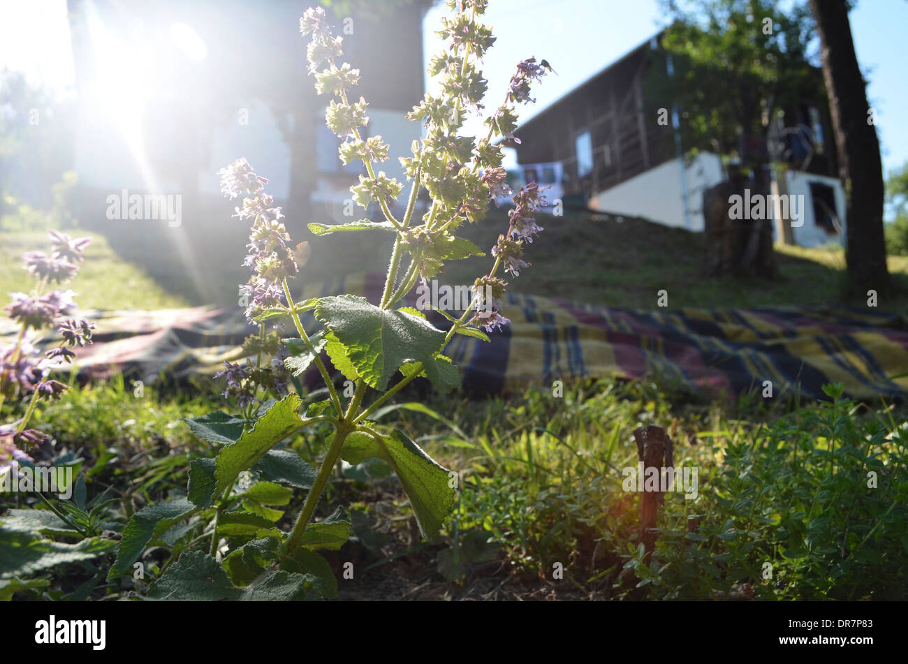 Bulgarian Village Hi-res Stock Photography And Images - Alamy