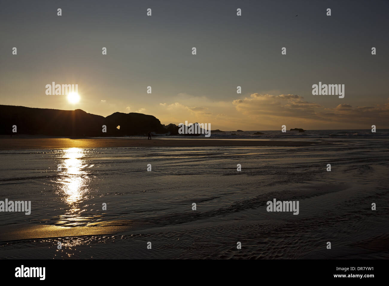 Porthcothan bay dog hi-res stock photography and images - Alamy