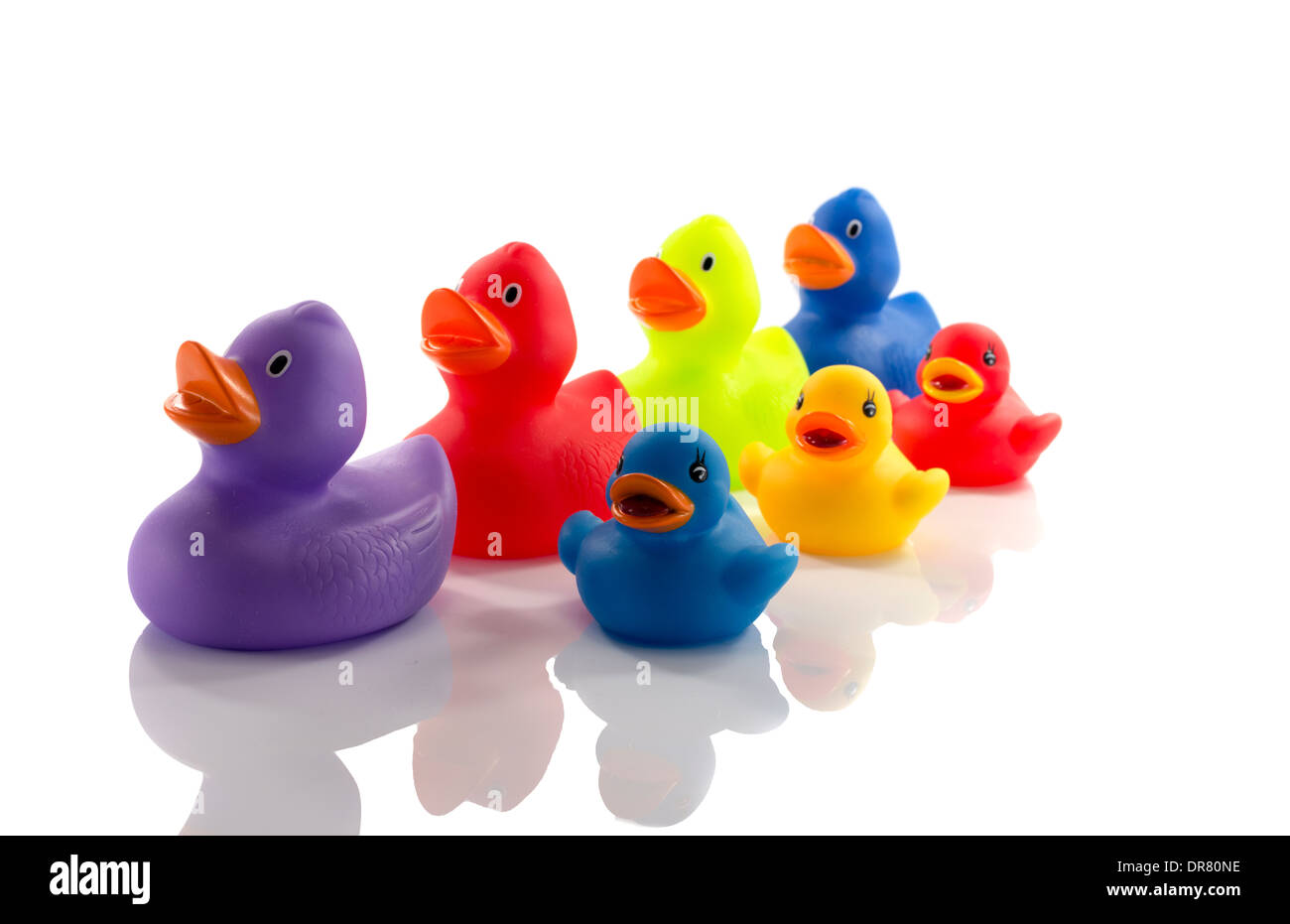 toy ducks isolated on white background Stock Photo - Alamy