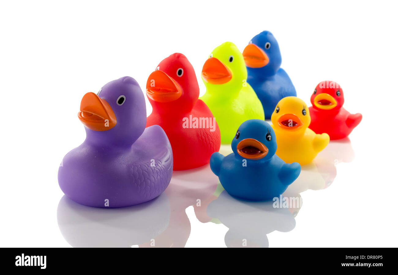 toy ducks isolated on white background Stock Photo - Alamy