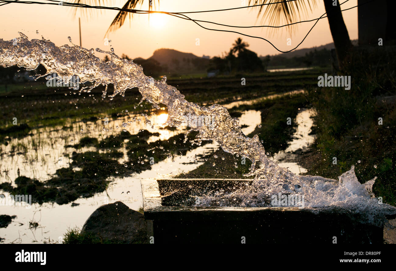 Flooding rice paddy fields with water from a pump at sunset. Andhra Pradesh, India Stock Photo