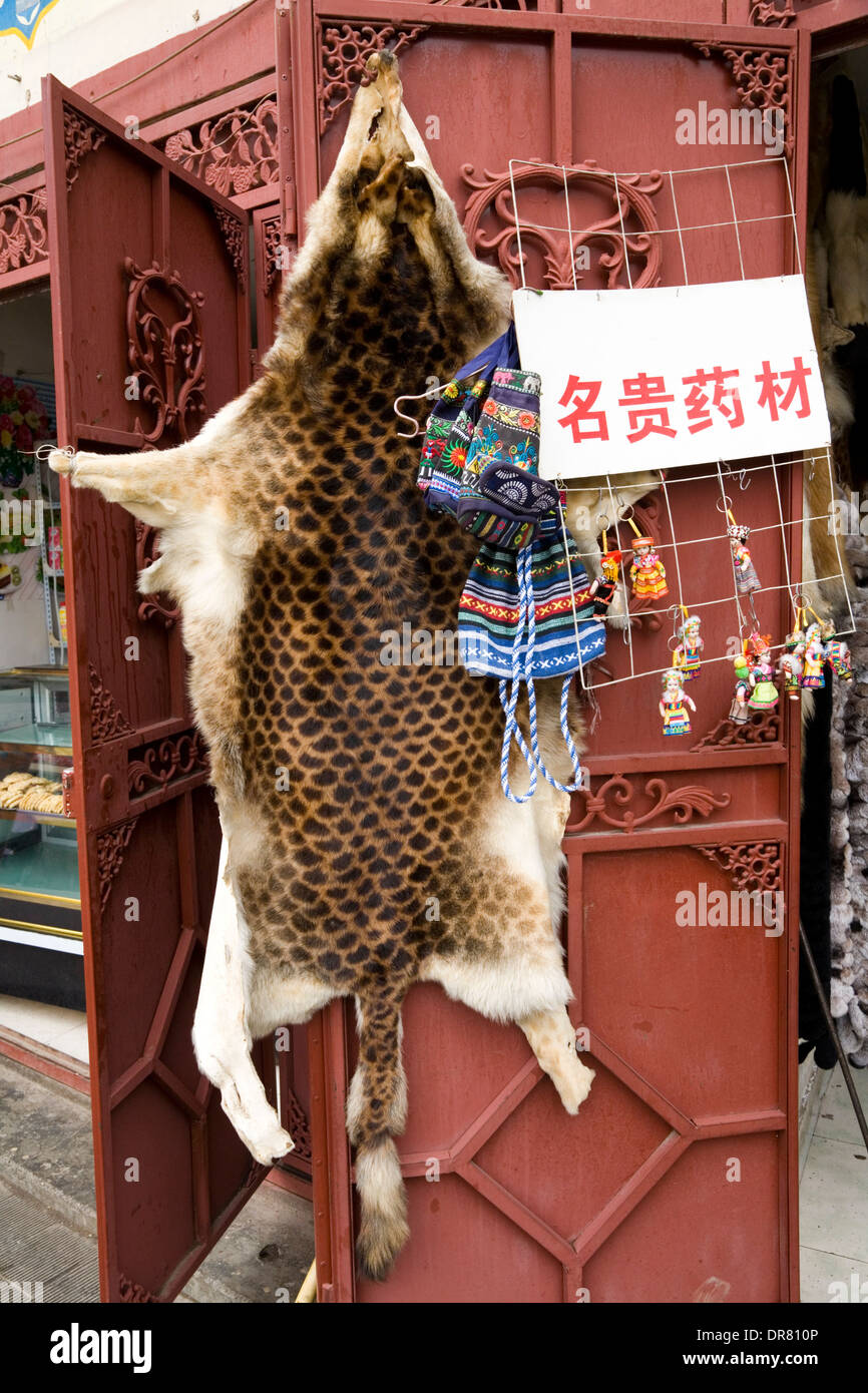 Animal skin / skins of animals (what look like rare endangered animal