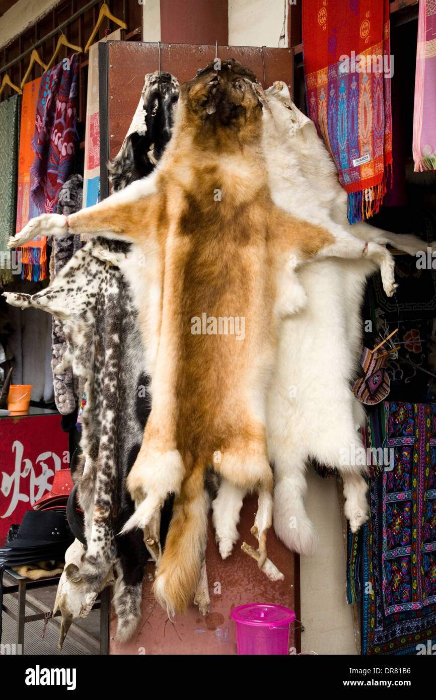 Animal skin / skins of animals (what look like rare endangered animal