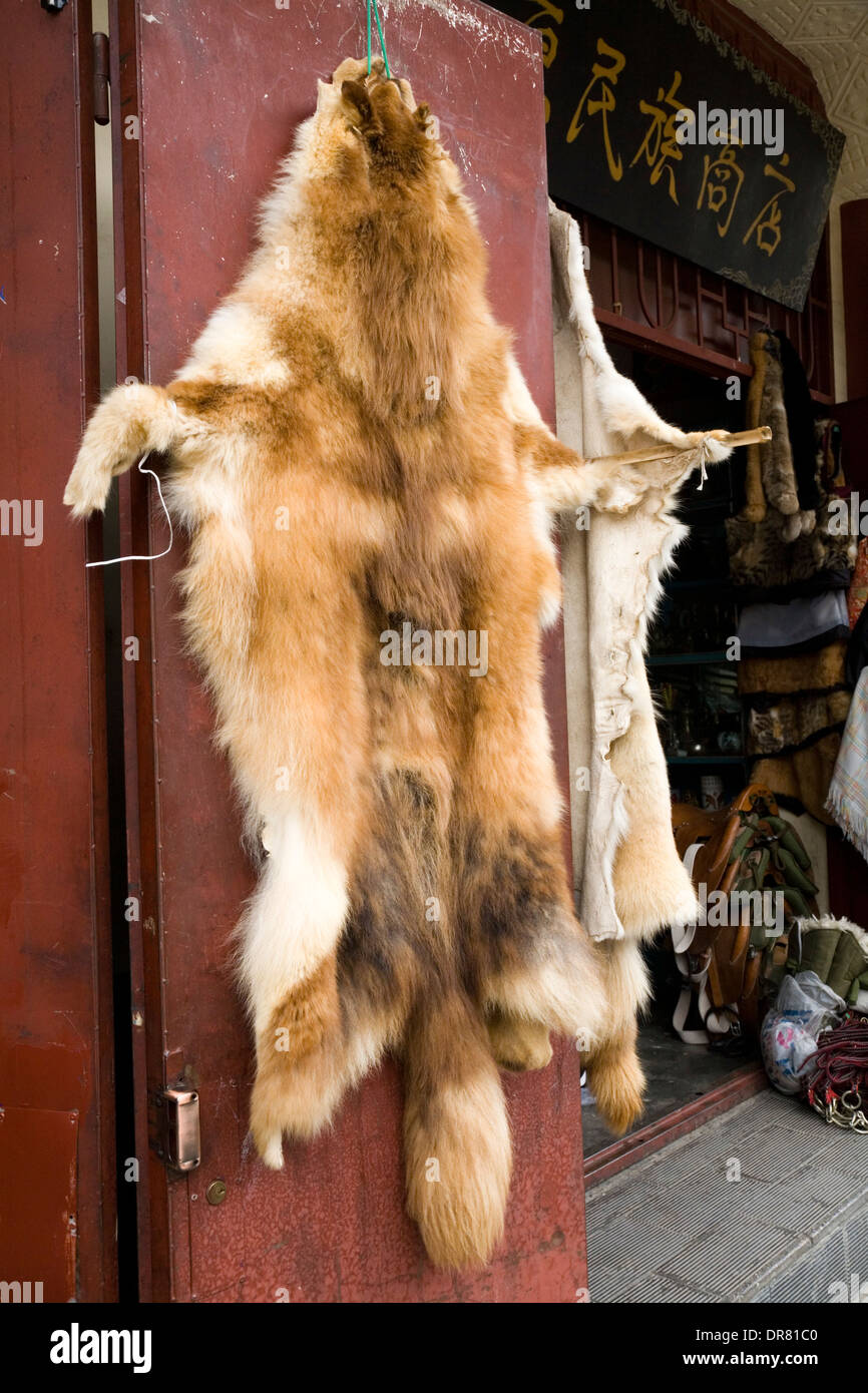 Animal skin / skins of animals (what look like rare endangered animal