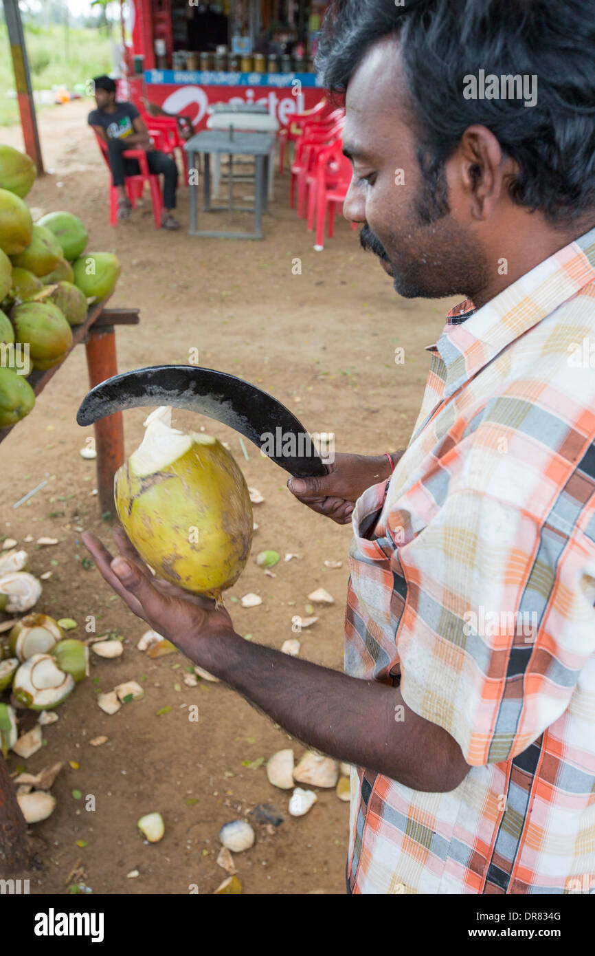 A roadside shop selling unripe coconuts, for coconut water near