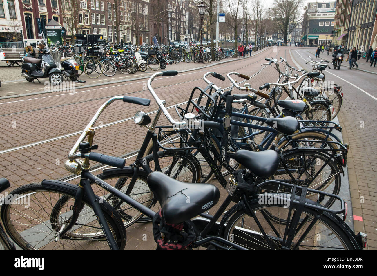 Bicycles parked at a bike rack next to cycle lane in Amsterdam